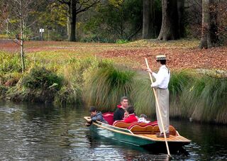 Tree-water-boat-leaf-flower-river-342036-pxhere.com