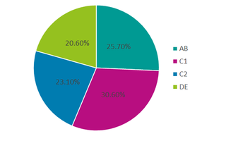 South Gloucestershire/South Cotswolds Demographics *