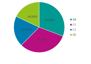 Hampshire Demographics *