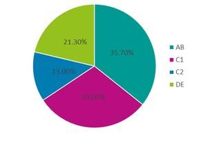 Oxford Demographics *