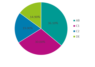 South Oxfordshire Demographics *