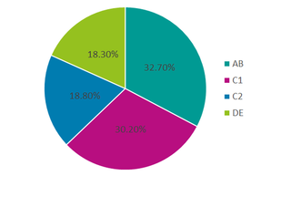 Oxfordshire Demographics *