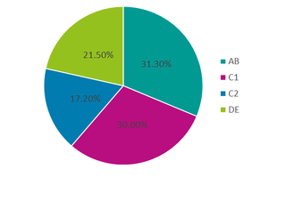 Reading Town Demographics*